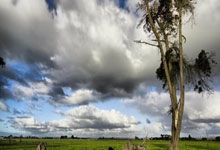 海星体育-关于波士顿凯尔特人今晚迎来里程碑；志在荷甲名次提升；球迷炸锅；数据趋势出现新变化的信息