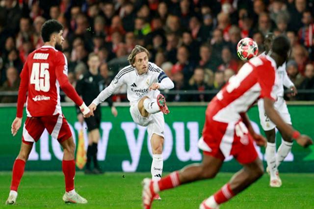 关东山猫队惊险晋级中原雄鲨队，UFC友谊赛上演关键失误成转折！细节处理更胜一筹的简单介绍